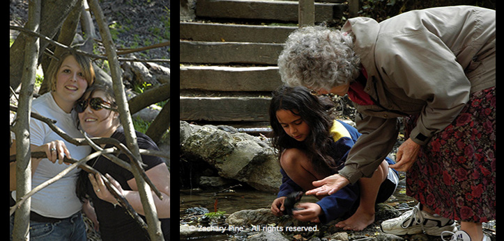 photo montage of children and adults making art in and near creeks